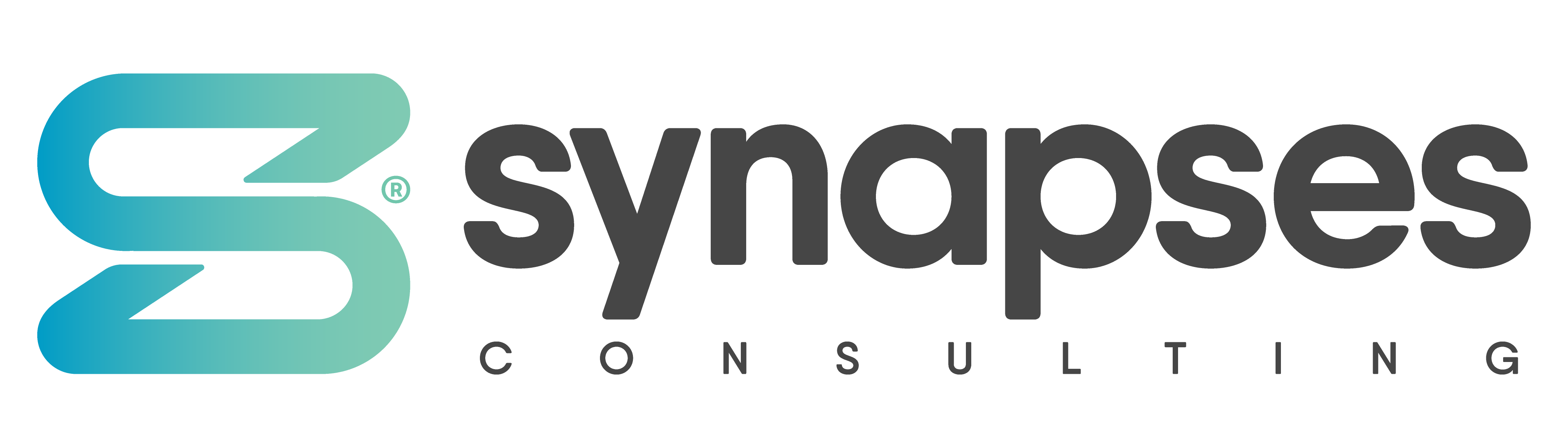 Synapses Consulting - Logo